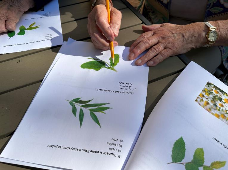 trénování paměti v parku